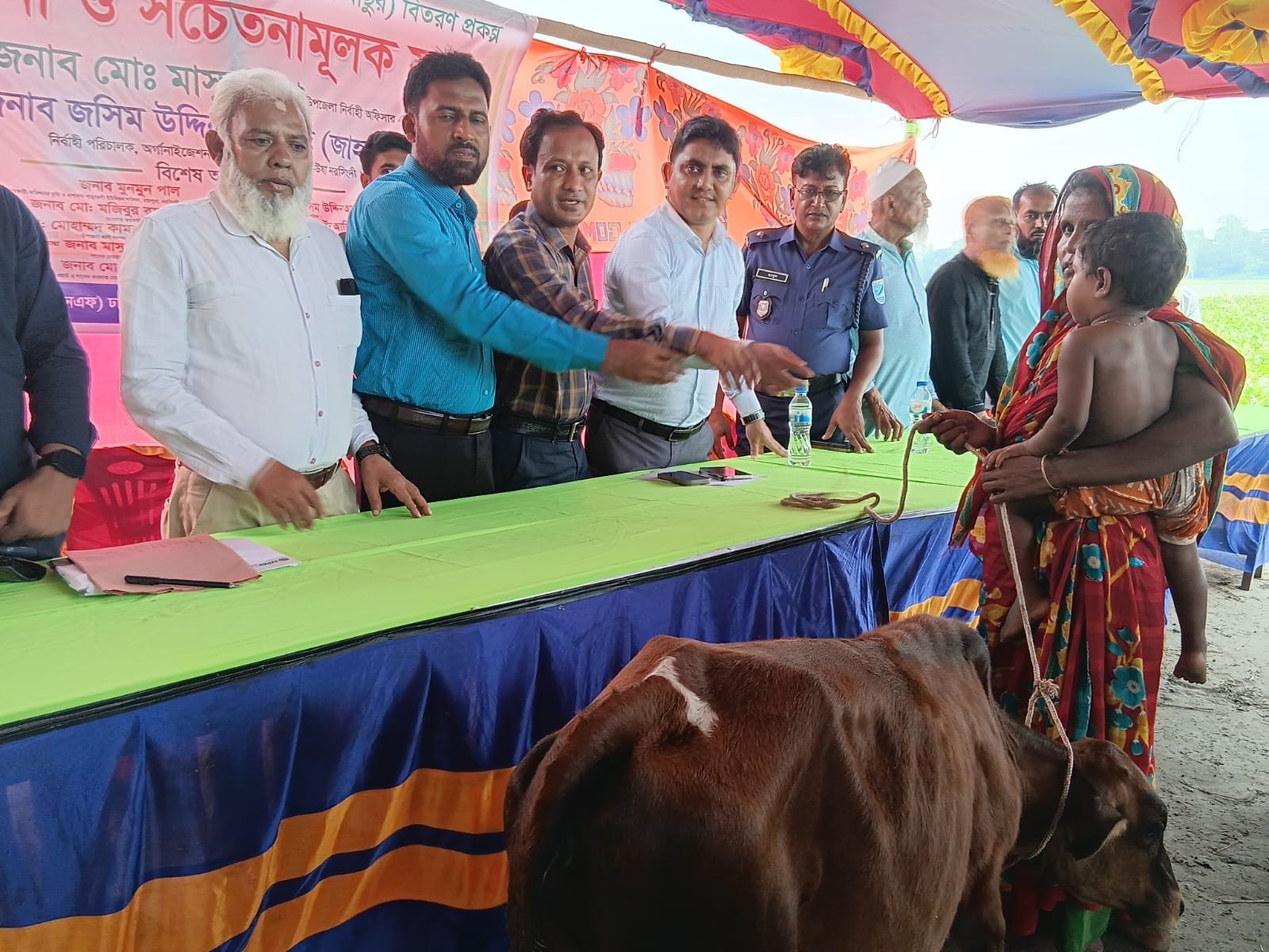 Cow distribution handover to a woman beneficiary.
